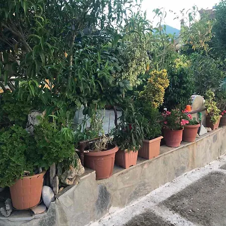 Mitsani Casa de Férias